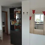 Bella 奥利瓦